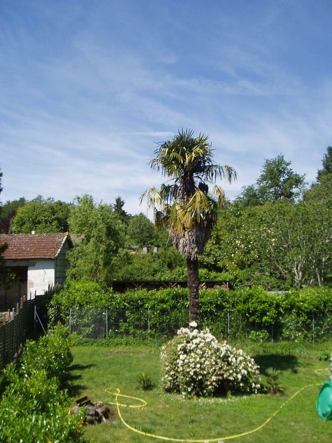 L'Ancien Patronage Caumont-sur-Garonne Exterior foto
